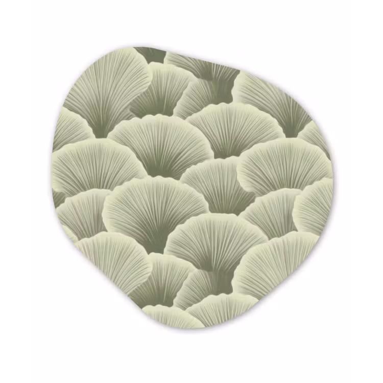 Waaier - Blad - Groen Wandcirkel Organisch Forex 3mm klein 629 -3d