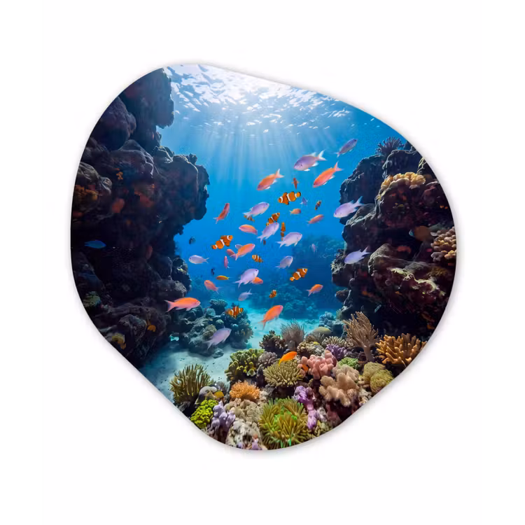 Vis - Koraalrif - Onderwater - Levendig - Blauw Wandcirkel Organisch Forex 3mm klein -3d