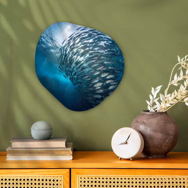 Vis - School - Oceaan - Natuur - Blauw Wandcirkel Organisch Forex 3mm klein -sfeer2