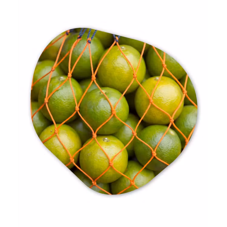 Eten - Net - Groen - Markt Wandcirkel Organisch Forex 3mm klein -3d