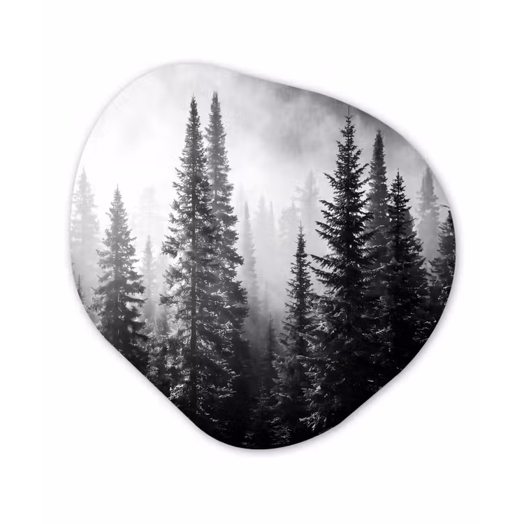 Bos - Mist - Winter - Monochroom - Natuur Wandcirkel Organisch Forex 3mm klein -3d