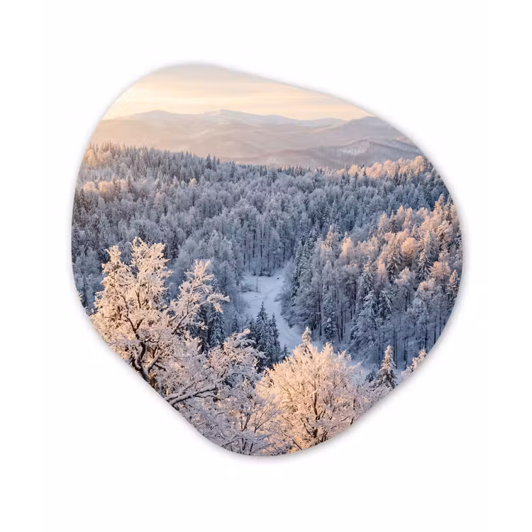 Bos - Bergen - Goud - Winter - Warm Wandcirkel Organisch Forex 3mm klein -3d