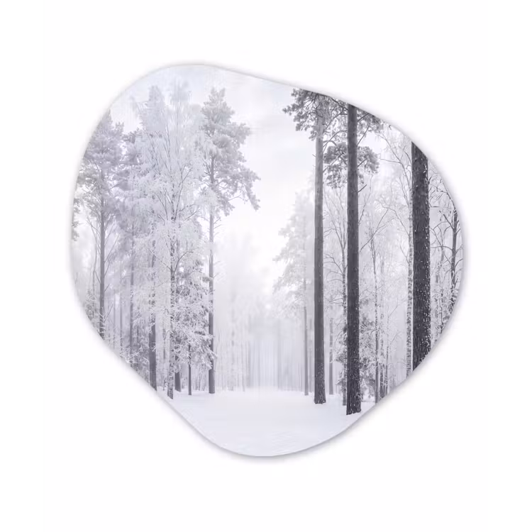 Bos - Sneeuw - Pad - Winter - Stilte Wandcirkel Organisch Forex 3mm klein -3d