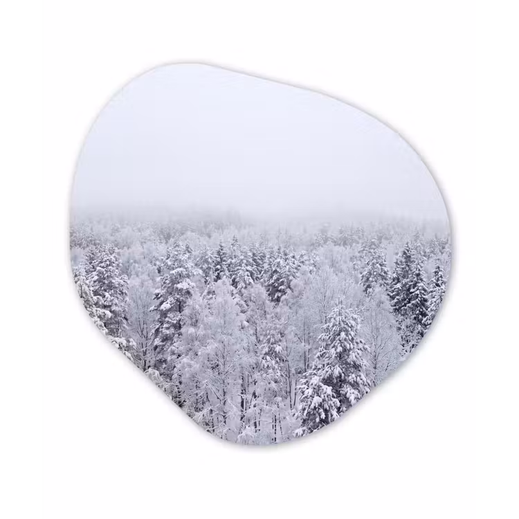Bos - Sneeuw - Winter - Natuur - Wit Wandcirkel Organisch Forex 3mm klein -3d