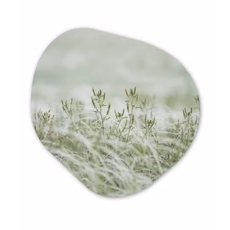 Grassen - Minimalistisch - Groen Wandcirkel Organisch Forex 3mm klein -3d