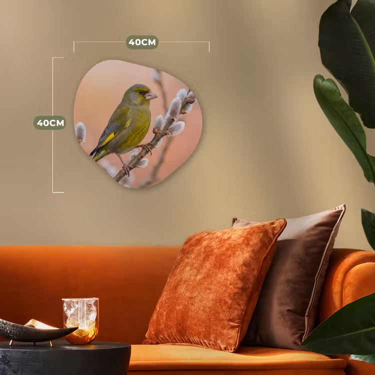 Groenling - Katjes - Lente - Natuur - Zacht Wandcirkel Organisch Forex 3mm klein -sfeer3