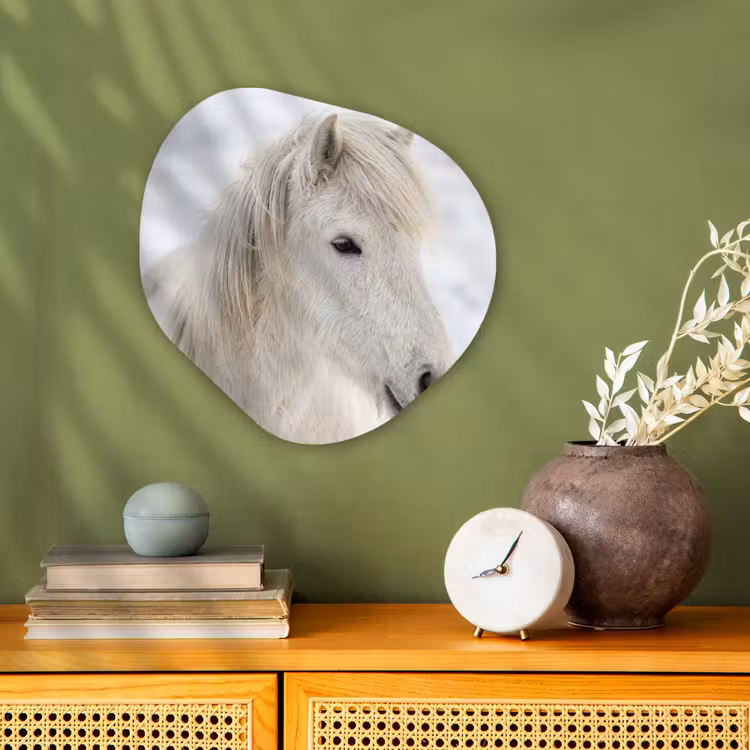 Paard - Kop - Winter - Dieren - Wit Wandcirkel Organisch Forex 3mm klein -sfeer2