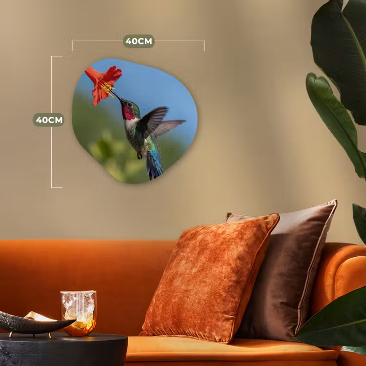 Kolibrie - Bloem - Natuur - Groen Wandcirkel Organisch Forex 3mm klein -sfeer3