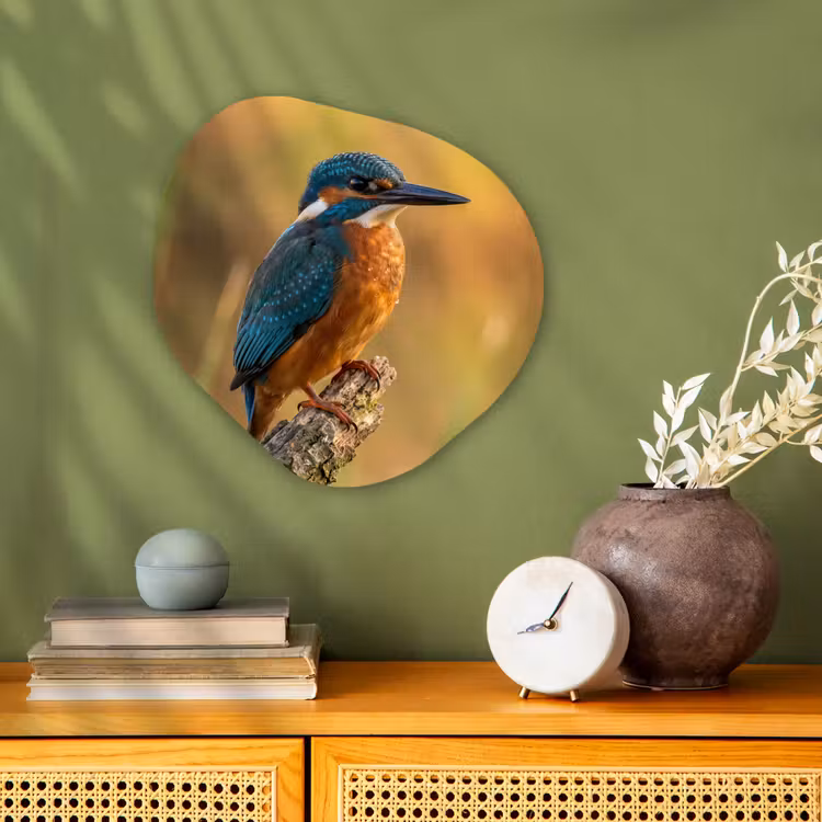 IJsvogel - Tak - Water - Kleurrijk - Levendig Wandcirkel Organisch Forex 3mm klein -sfeer2