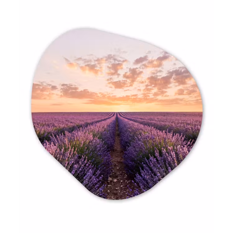 Landschap - Lavendelveld - Paars Wandcirkel Organisch Forex 3mm klein -3d