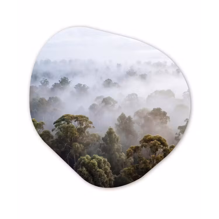 Natuur - Mist - Bos - Ochtend - Goud Wandcirkel Organisch Forex 3mm klein -3d