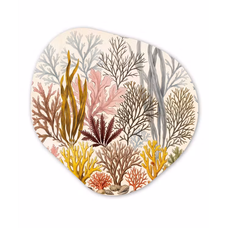 Natuur - Onderwater - Botanisch - Vintage - Kleurrijk Wandcirkel Organisch Forex 3mm klein -3d