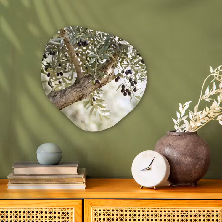 Organic - Forex - Olive tree - branch - green - Olijfboom - tak - groen Wandcirkel Organisch Forex 3mm klein