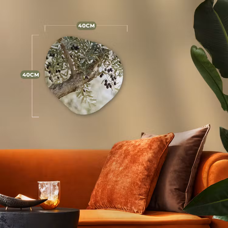 Organic - Forex - Olive tree - branch - green - Olijfboom - tak - groen Wandcirkel Organisch Forex 3mm klein