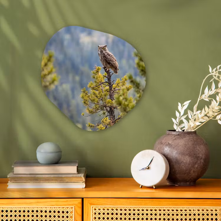 Uil - Oehoe - Bomen - Natuur Wandcirkel Organisch Forex 3mm klein -sfeer2