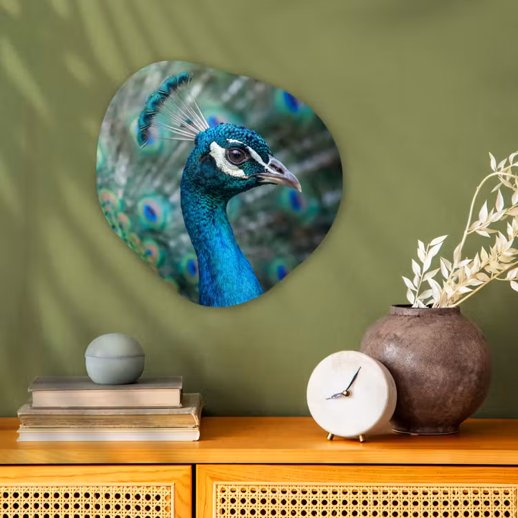 Pauw - Veren - Blauw Wandcirkel Organisch Forex 3mm klein -sfeer2