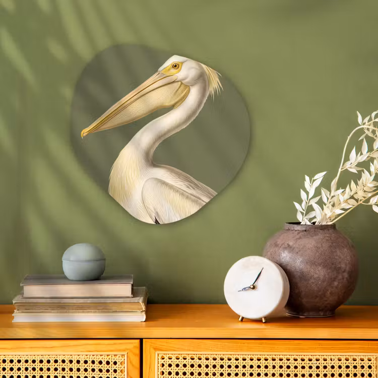 Pelikaan - Wit - Vogel - Klassiek - Natuur Wandcirkel Organisch Forex 3mm klein -sfeer2
