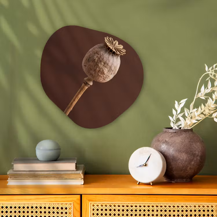 Papaverbol - Droogbloem - Bruin - Minimalistisch Wandcirkel Organisch Forex 3mm klein -sfeer2