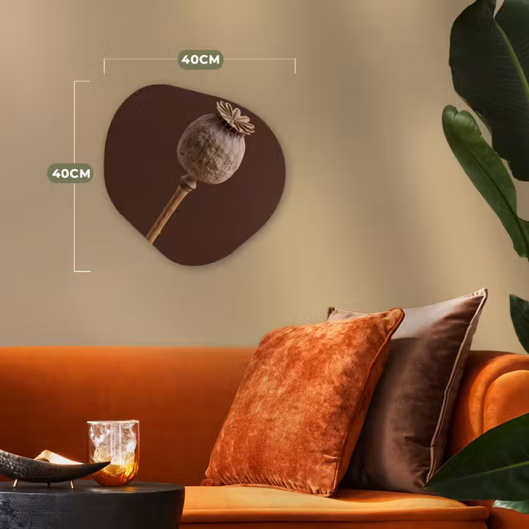 Papaverbol - Droogbloem - Bruin - Minimalistisch Wandcirkel Organisch Forex 3mm klein -sfeer3