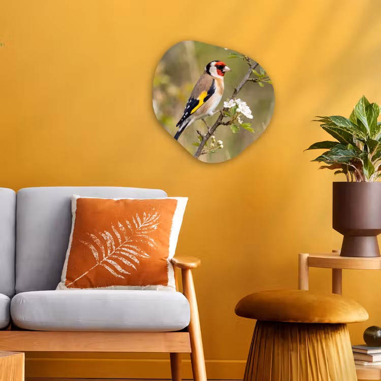 Putter - Bloesem - Lente - Natuur - Kleurrijk Wandcirkel Organisch Forex 3mm klein -sfeer4