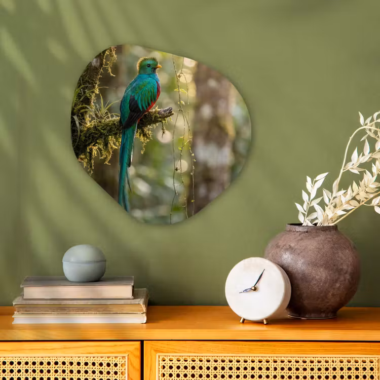 Quetzal - Jungle - Natuur - Groen Wandcirkel Organisch Forex 3mm klein -sfeer2
