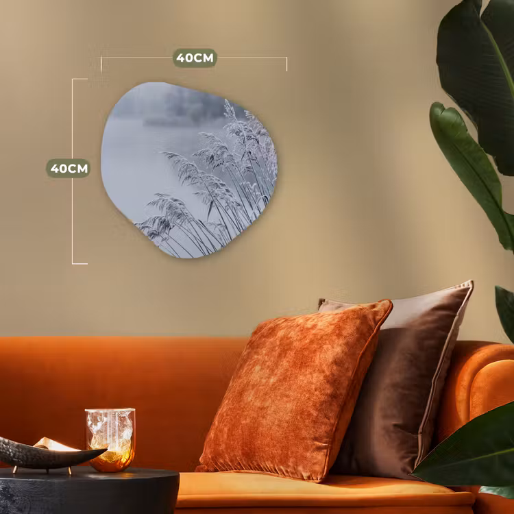 Riet - Bevroren - Winter - Natuur Wandcirkel Organisch Forex 3mm klein -sfeer3