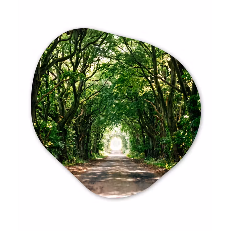 Weg - Bomen - Natuur - Groen Wandcirkel Organisch Forex 3mm klein -3d