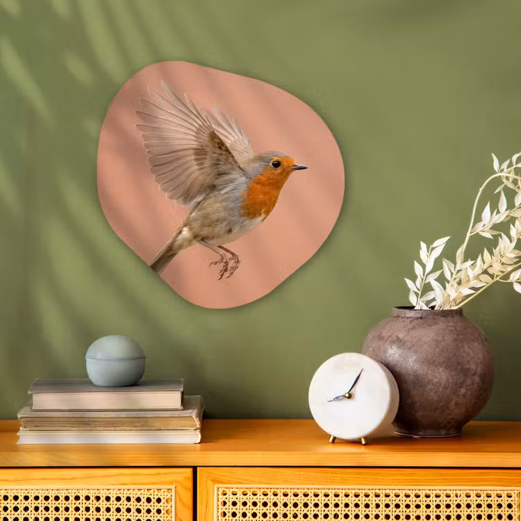 Roodborst - Natuur - Roze Wandcirkel Organisch Forex 3mm klein -sfeer2