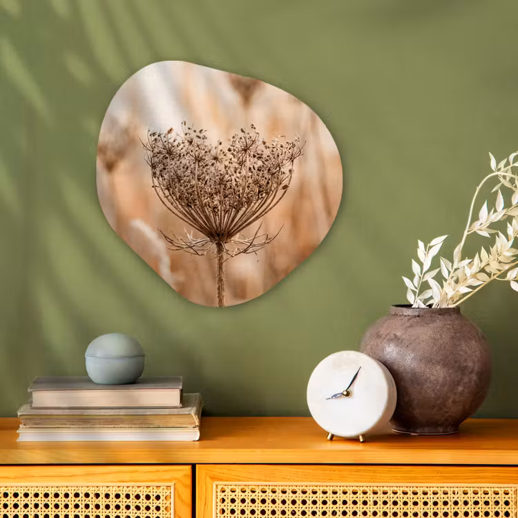 Schermbloem - Droogbloem - Winter - Beige - Minimalistisch Wandcirkel Organisch Forex 3mm klein -sfeer2