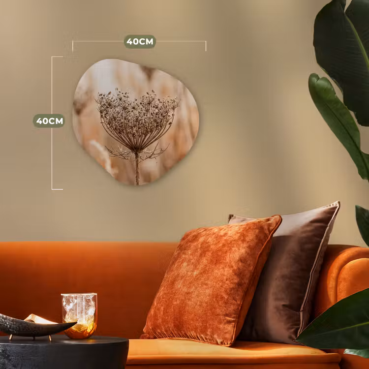Schermbloem - Droogbloem - Winter - Beige - Minimalistisch Wandcirkel Organisch Forex 3mm klein -sfeer3