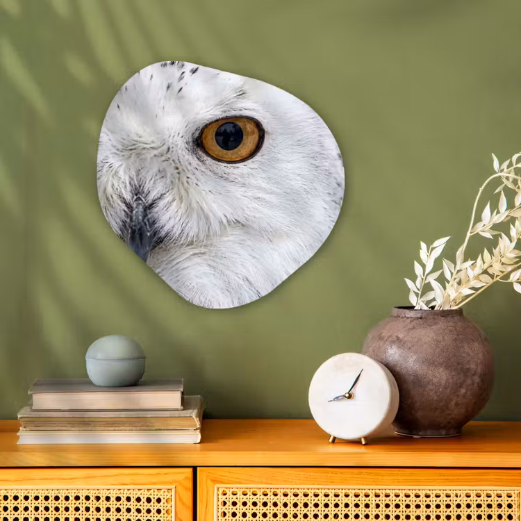 Sneeuwuil - Oog - Wildlife - Wit Wandcirkel Organisch Forex 3mm klein -sfeer2