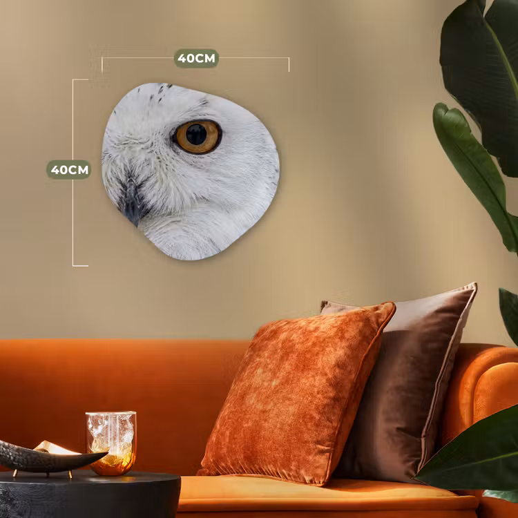 Sneeuwuil - Oog - Wildlife - Wit Wandcirkel Organisch Forex 3mm klein -sfeer3