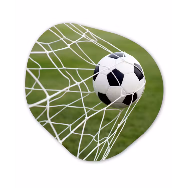 Voetbal - Goal - Net - Sport Wandcirkel Organisch Forex 3mm klein -3d