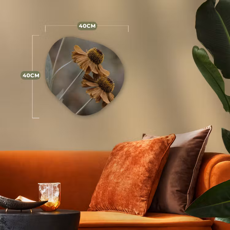 Zonnehoed - Droogbloemen - Geel - Warm Wandcirkel Organisch Forex 3mm klein -sfeer3