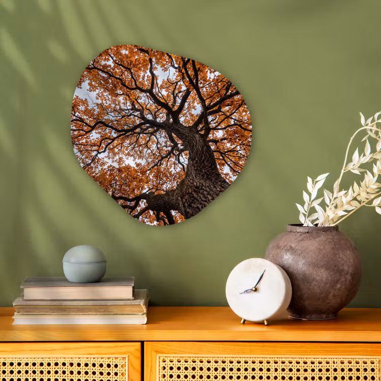 Boom - Bladerdak - Herfst - Oranje - Sfeervol Wandcirkel Organisch Forex 3mm klein -sfeer2