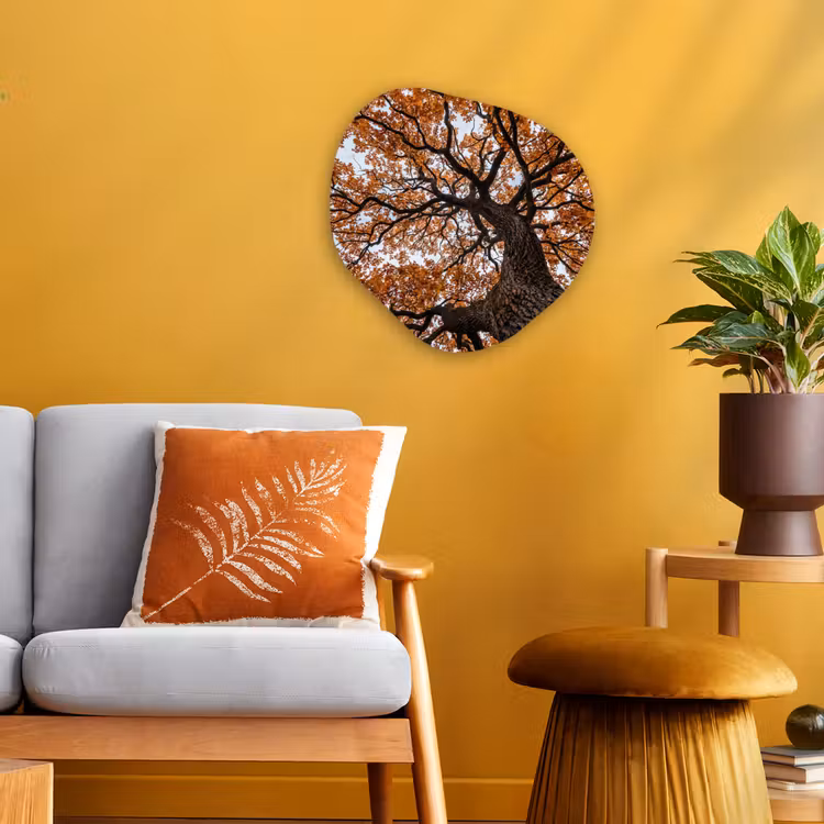 Boom - Bladerdak - Herfst - Oranje - Sfeervol Wandcirkel Organisch Forex 3mm klein -sfeer4