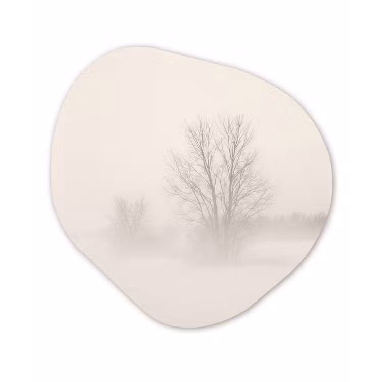 Boom - Mist - Sneeuw - Winter - Minimalistisch Wandcirkel Organisch Forex 3mm klein -3d