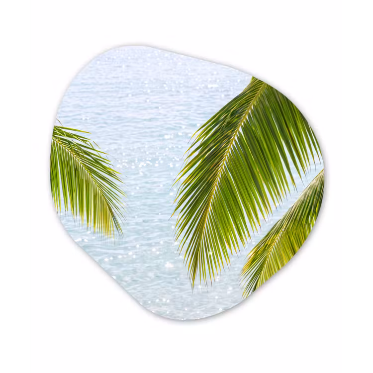 Boom - Bladeren - Water - Tropisch - Groen Wandcirkel Organisch Forex 3mm klein -3d