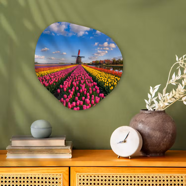 Tulpen - Holland - Molen - Kleurrijk Wandcirkel Organisch Forex 3mm klein -sfeer2