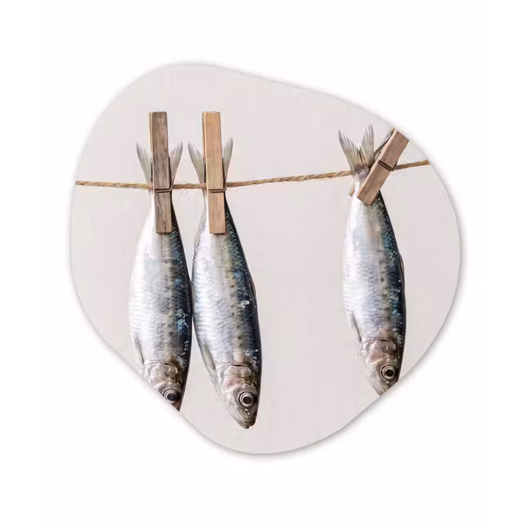 Organic - Glass - Fish - Hanging - Food - Vis - Hangend - Eten Wandcirkel Organisch Plexiglas middel