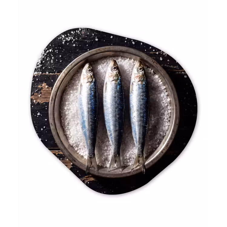 Organic - Glass - Fish - Salt - Food - Vis - Zout - Eten Wandcirkel Organisch Plexiglas middel