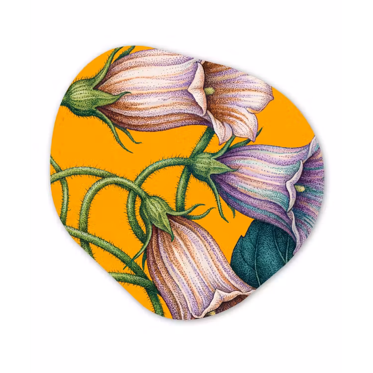 Organic - Glass - Flowers - Botanical - Yellow - Bloemen - Botanisch - Geel Wandcirkel Organisch Plexiglas middel