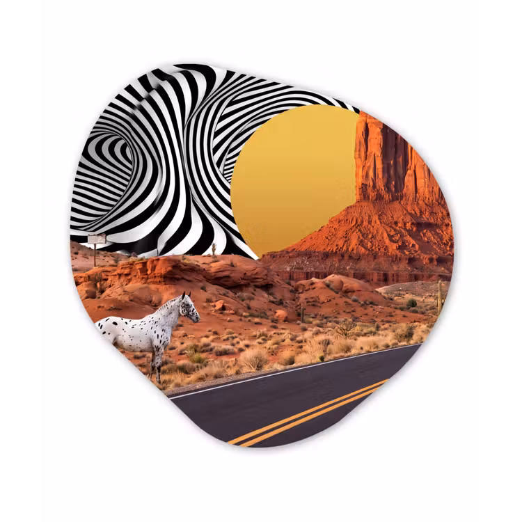 Organic - Glass - Horse - Desert - Nature - Paard - Woestijn - Natuur Wandcirkel Organisch Plexiglas middel
