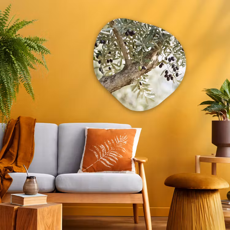 Organic - Glass - Olive tree - branch - green - Olijfboom - tak - groen Wandcirkel Organisch Plexiglas middel