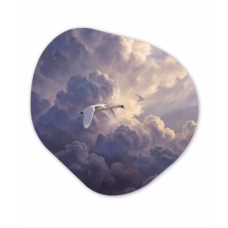 Vogel - Vliegend - Natuur - Wit - Wolken Wandcirkel Organisch Aluminium middel -3d
