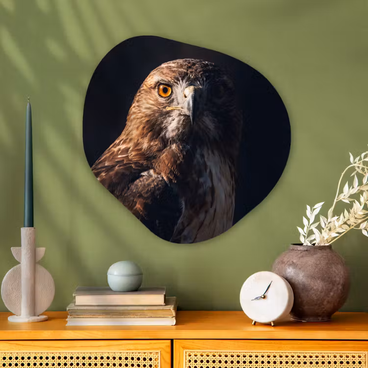 Roofvogel - Buizerd - Bruin Wandcirkel Organisch Aluminium middel -sfeer2
