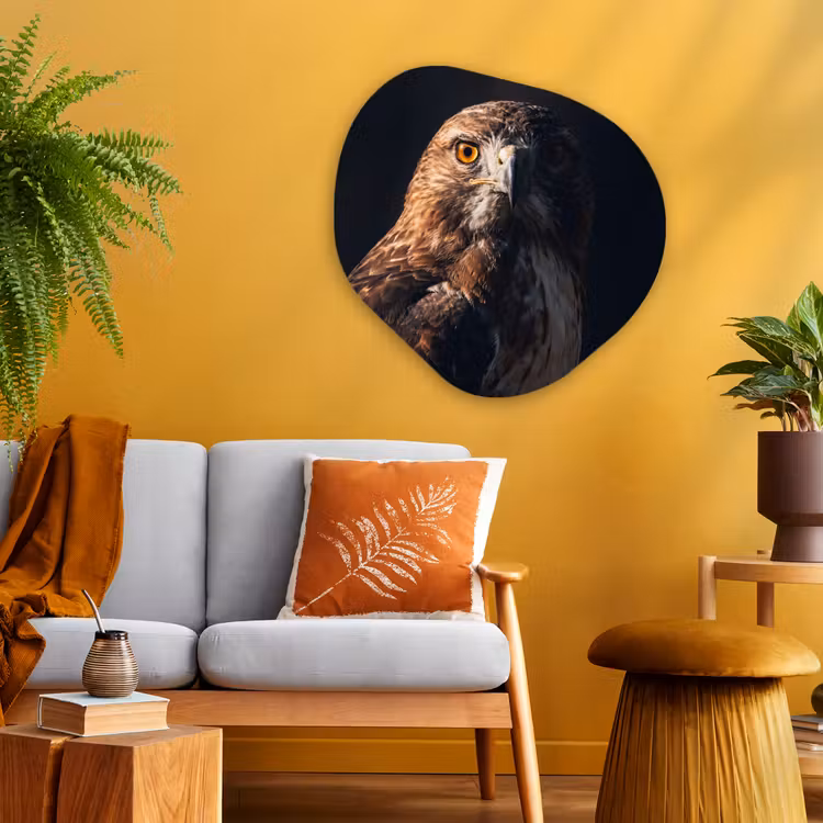 Roofvogel - Buizerd - Bruin Wandcirkel Organisch Aluminium middel -sfeer4