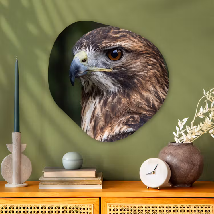Buizerd - Roofvogel - Natuur - Bruin Wandcirkel Organisch Aluminium middel -sfeer2