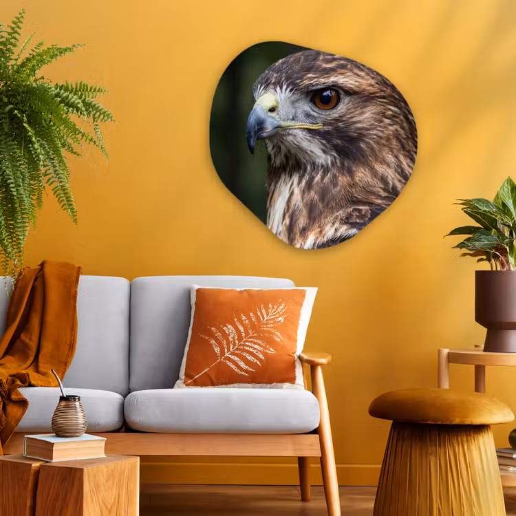 Buizerd - Roofvogel - Natuur - Bruin Wandcirkel Organisch Aluminium middel -sfeer4