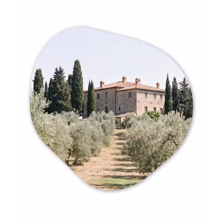 Organic painting - Aluminum -. Country house - olive tree - orchard - Landhuis - olijfboom - gaard Wandcirkel Organisch Aluminium middel